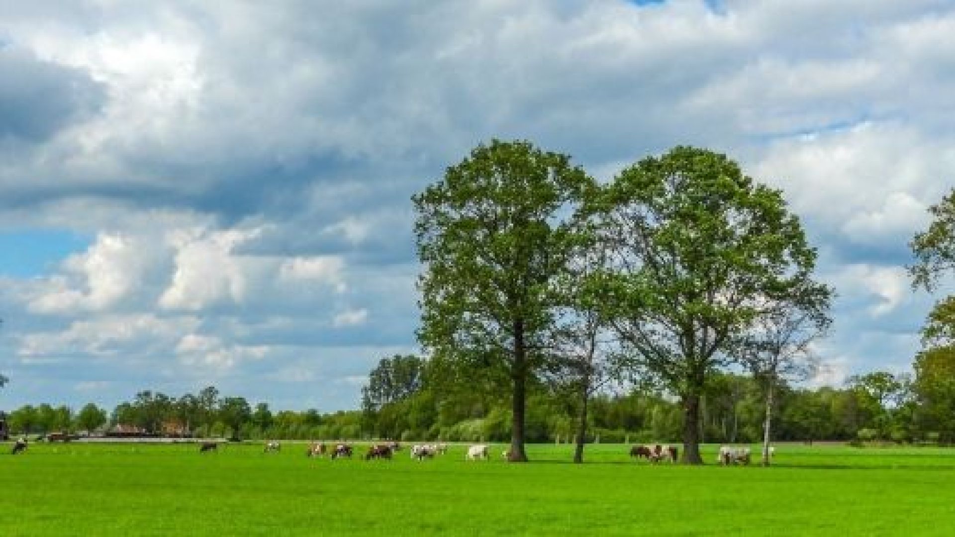 Pilot innovatieve woonconcepten buitengebied verlengd tot 1 januari 2027