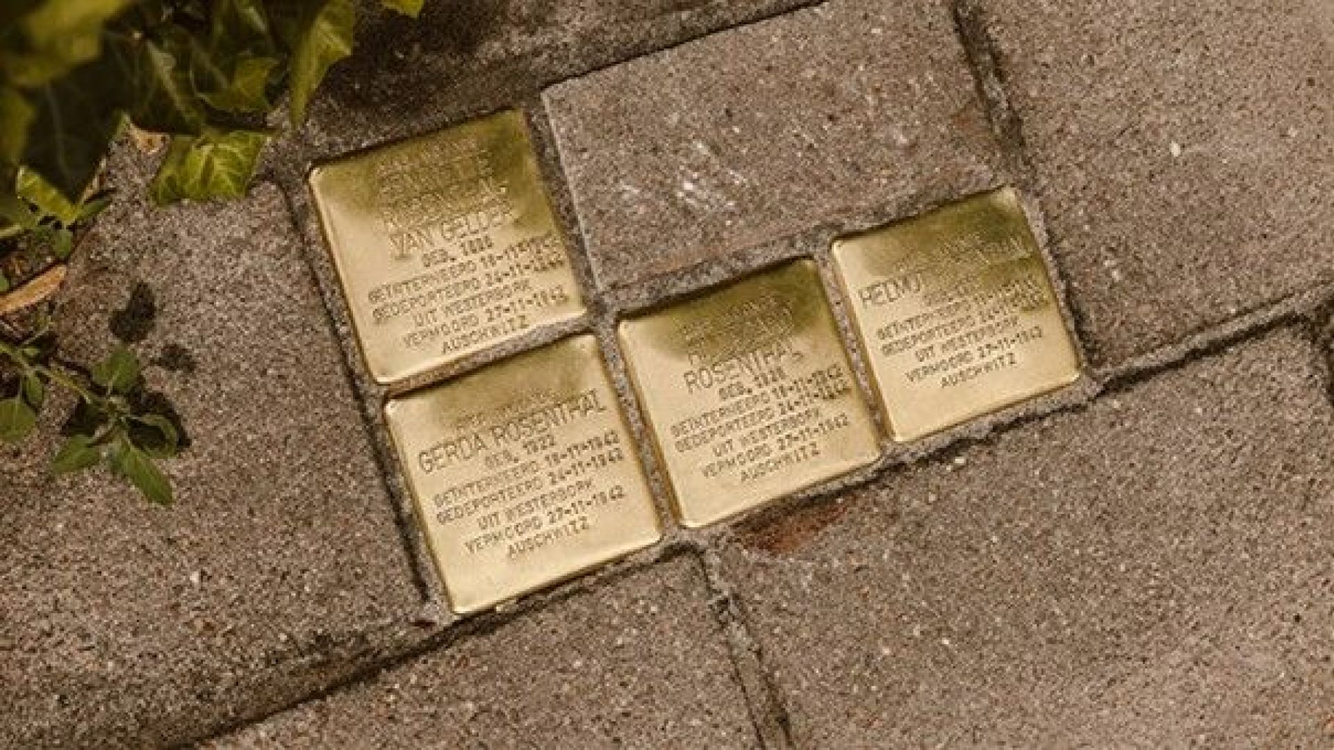 Winterswijk herdenkt vermoorde Joodse inwoners met 27 nieuwe Stolpersteine