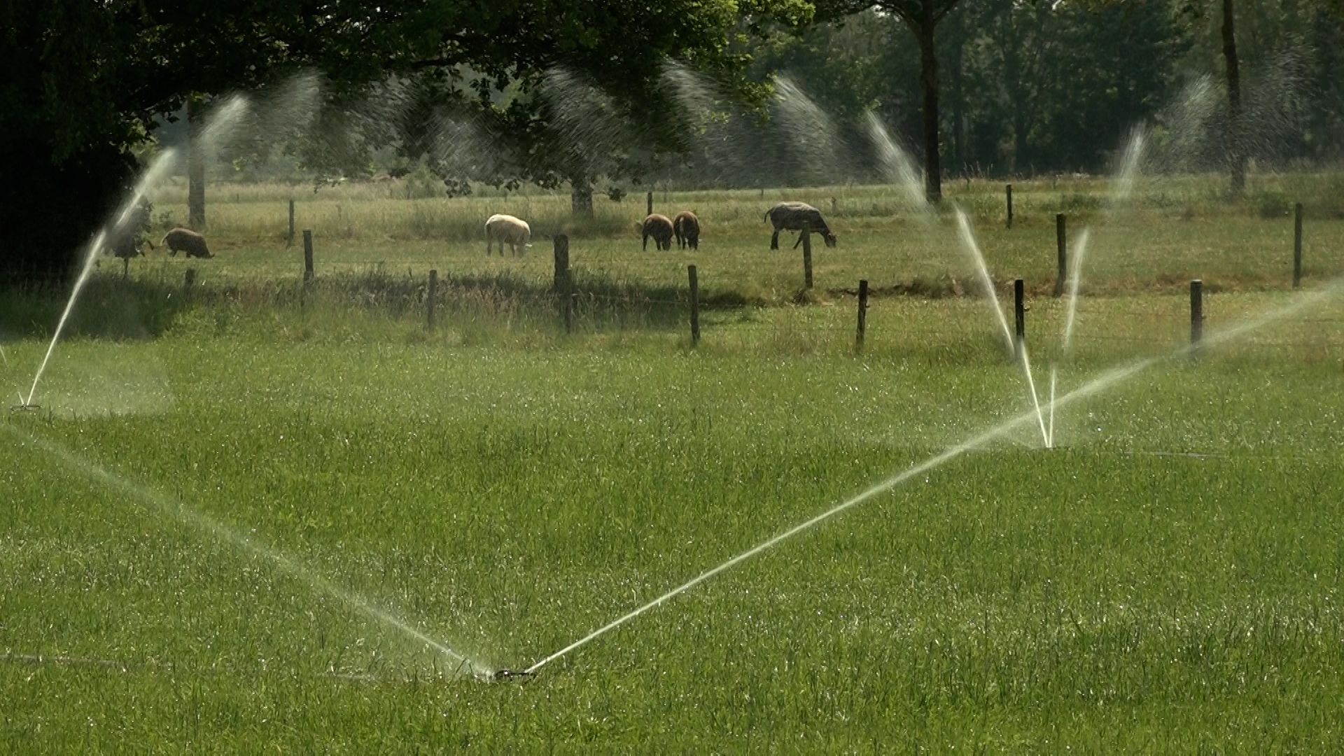 Droogte dwingt waterschap tot ingrijpen: oppompen van water verboden