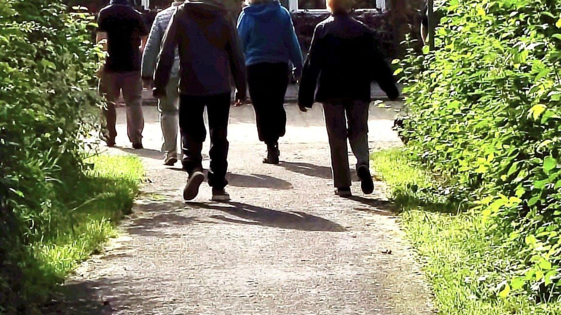 Wandelgroep voor beginnende wandelaars in Aalten